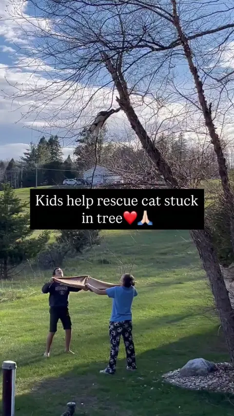 Brave kitty and awesome kids ❤️