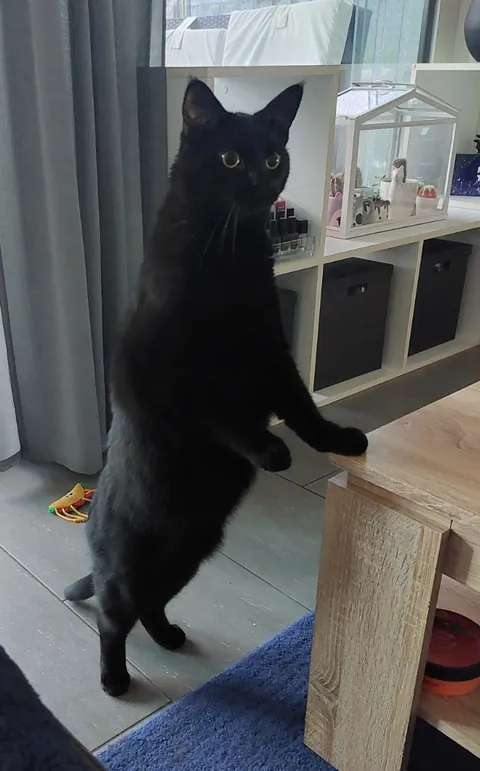 How long is your void?