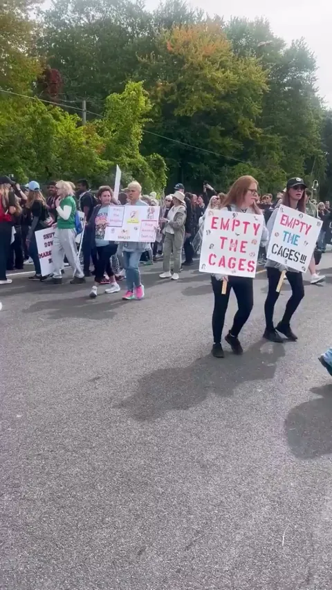 More than 1,000 people protested Marshall BioResources in New York on Saturday for breeding over 16,000 beagles for animal testing each year.  They are the last such facility in the country, as animal activists shut down the other 2 in the past 4 years.