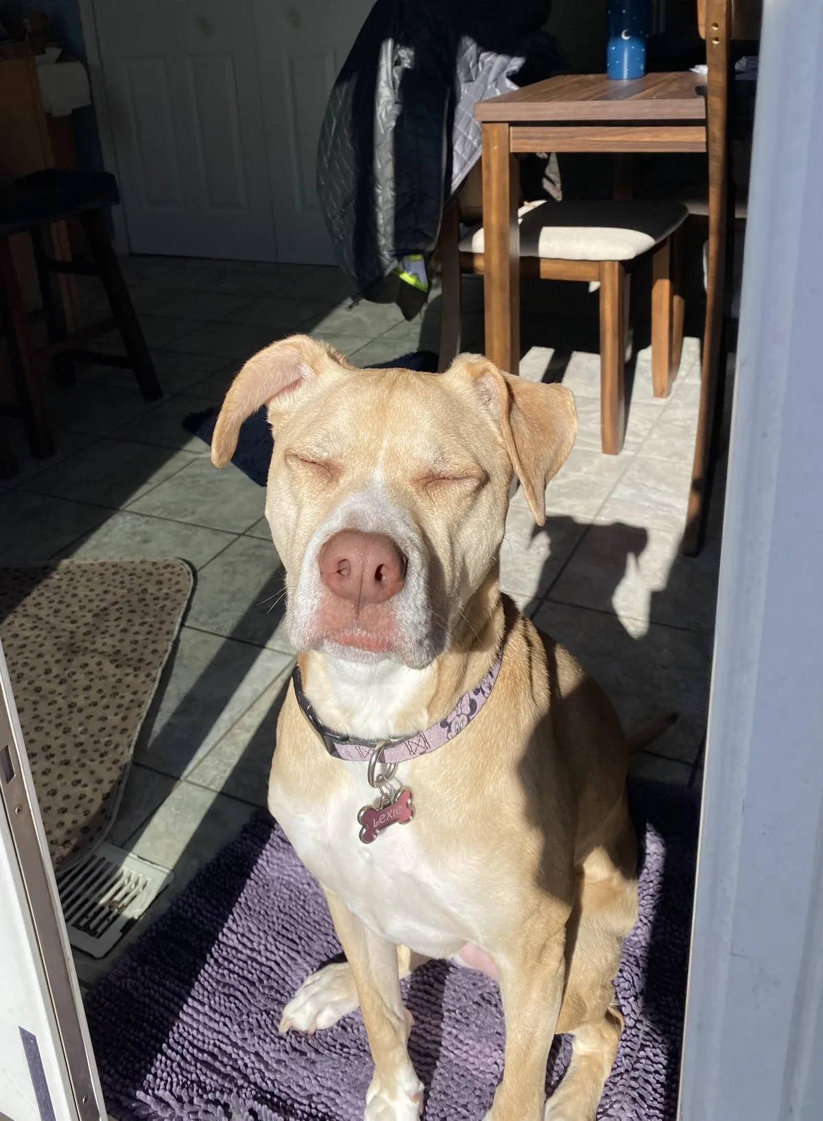 It’s been gloomy for days, except today …