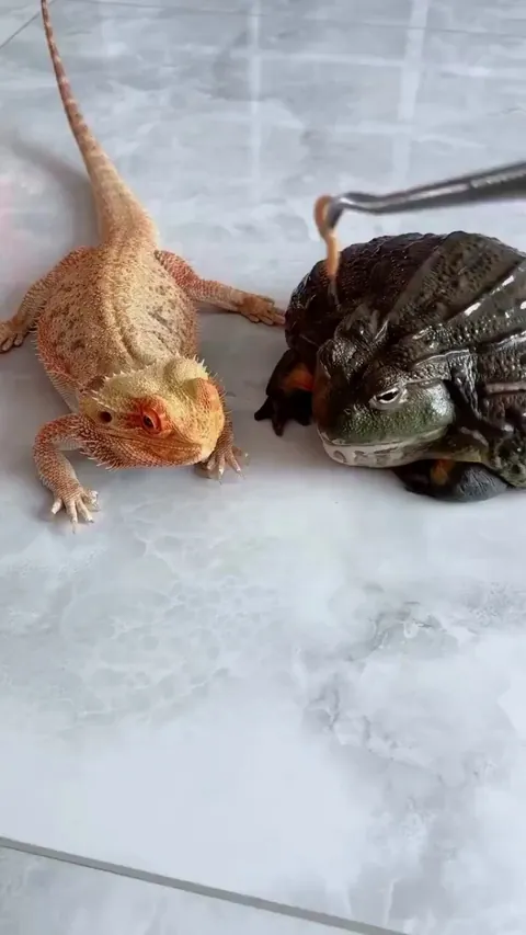 That one is a bit greddy