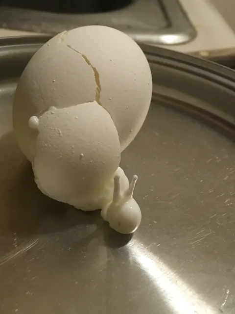 This boiled egg that exploded while cooking and looks like a snail.