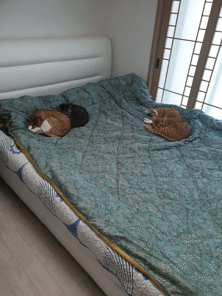 There's no room for me to lie down