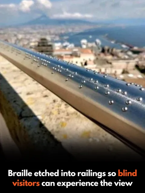 Design that puts People, Animals and Nature first.