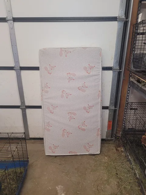 Sheepdog Too Big. Built A Bed To Match Dimensions To Our Queen. Used 100% Recycled Materials. £0 Spent. I Will Build/Install Drawer Tomorrow.