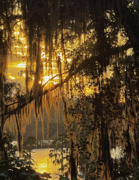 ITAP of golden hour light