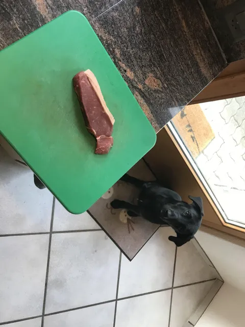 I had  two steaks, it is date night. She is coming over any minute. One steak disappeared. Suspect might be in the picture.