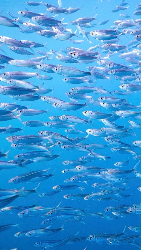 Underwater is just space with better lighting.