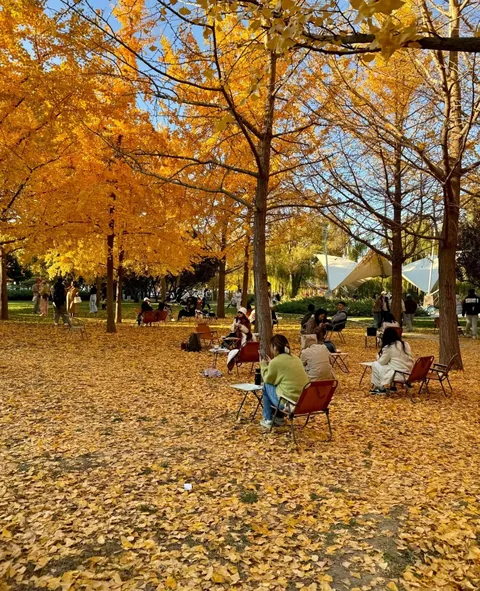 Autumn in Beijing