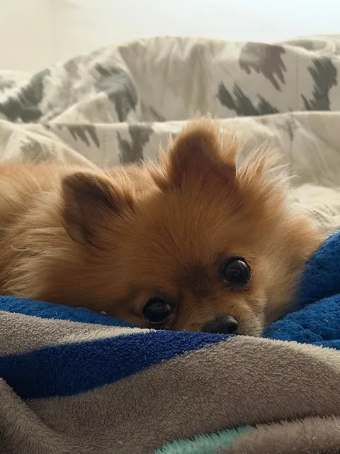 That sweet gaze from the first moment we met
