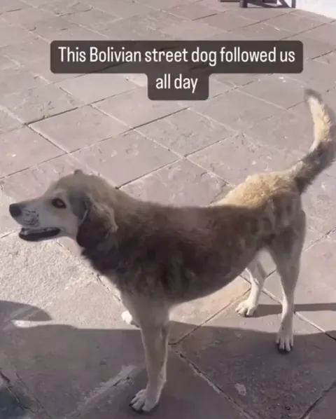 I’m not crying 😢