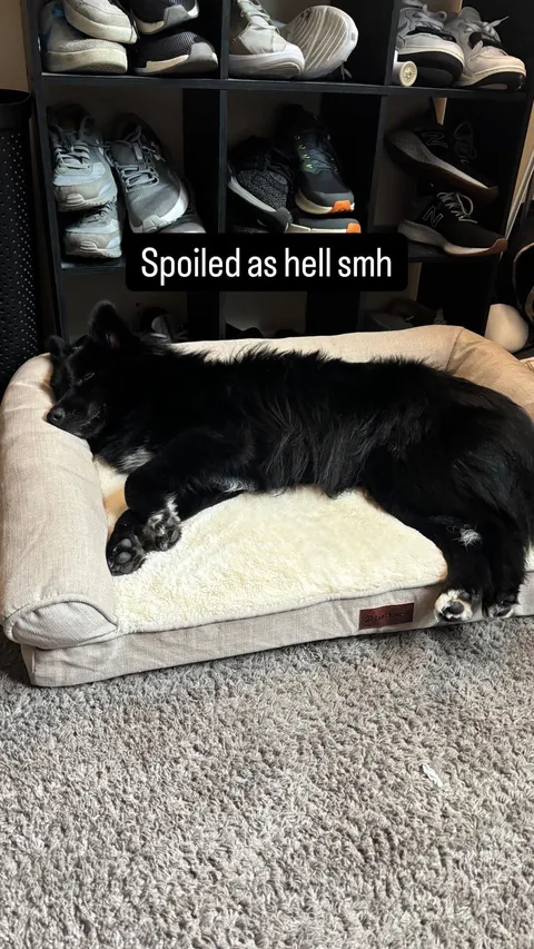 Thanks for checking in, I’d say he’s doing quite well! 3 months with my best friend. Time flies when you’re having fun!