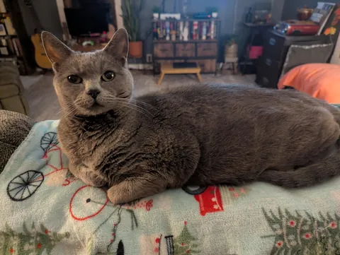 I'm losing my boy with the belly tomorrow 💔