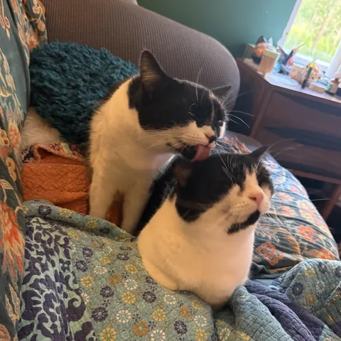 Such sweet girls!