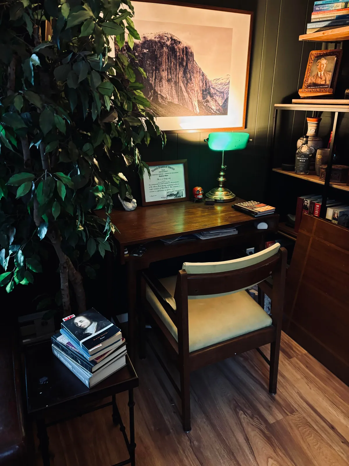 Always been my dream to have a study/library space. Finally finished.