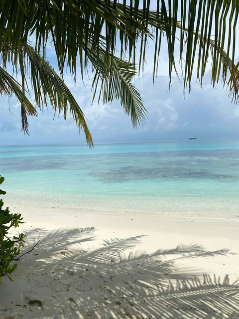 Spent a couple of days on a local Maldivian island and loved every second of it.