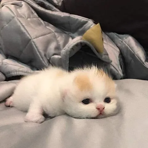 Small enough to fit in my heart 💕