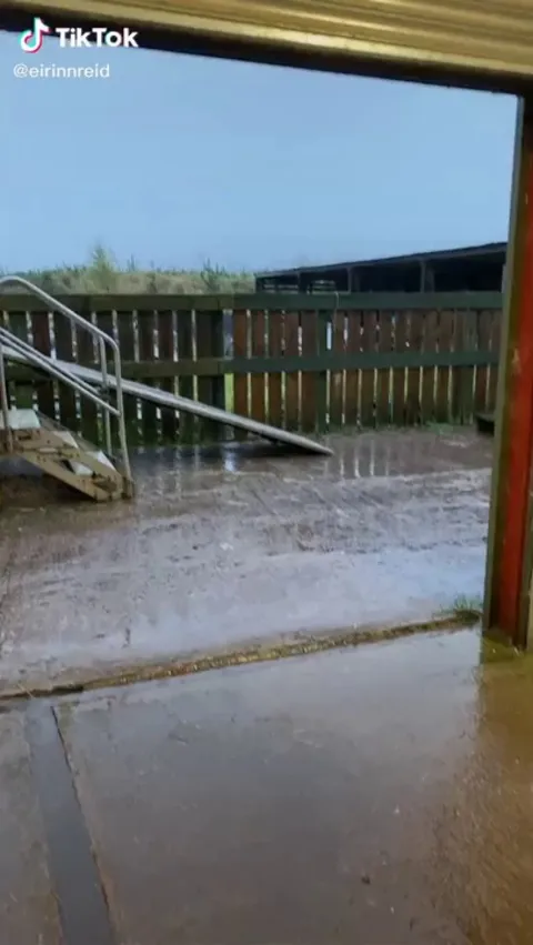 "I KNOW YOU'RE HIDING MY SUGAR CUBES EIRINN!"