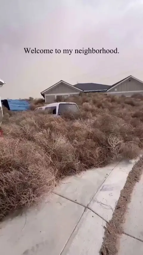 High winds causing chaos in Utah