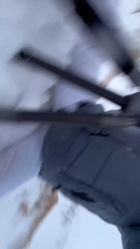 🔥An Arctic Fox🦊