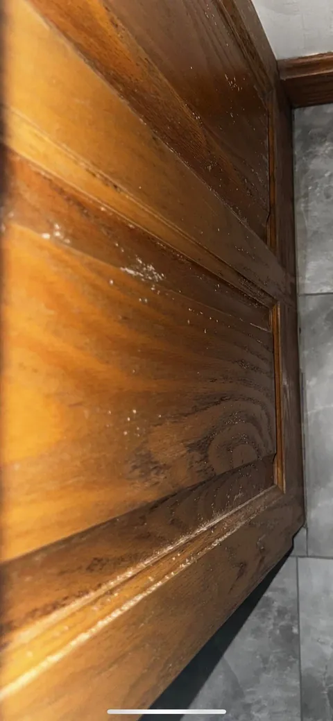 Moved into our “dream home” before closing… to discover it’s a moldy nightmare
