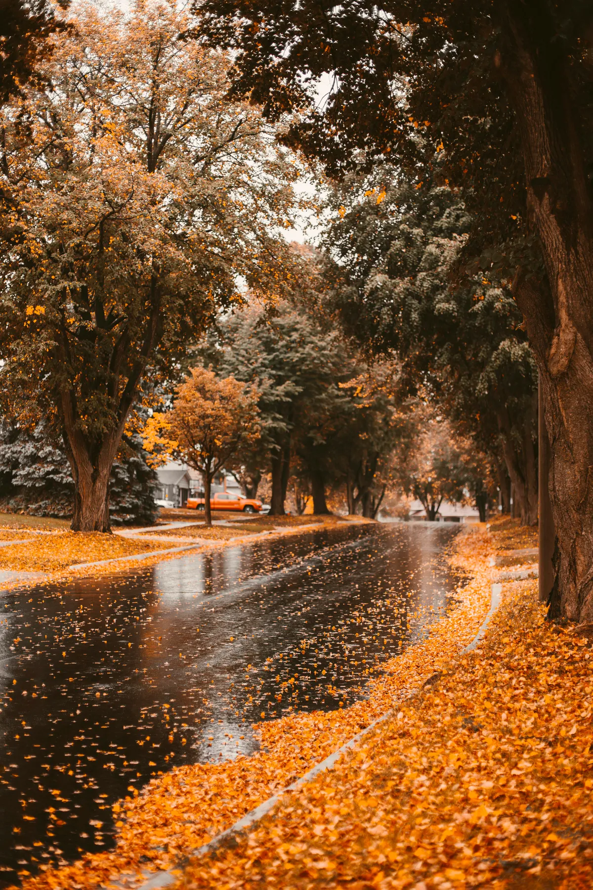 ITAP of a perfect fall street