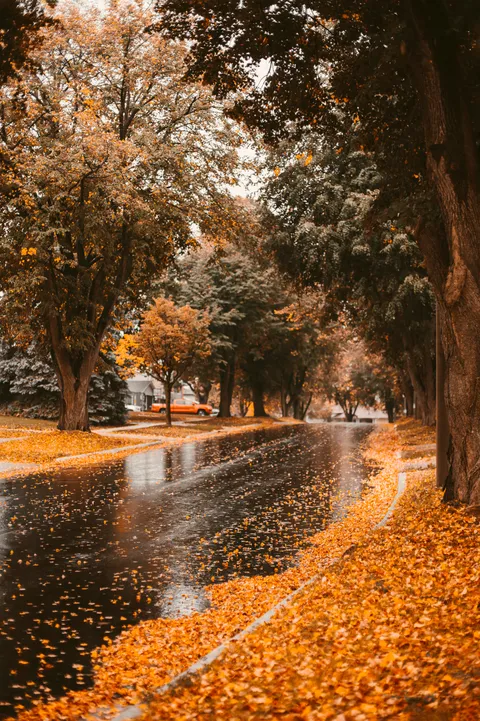 ITAP of a perfect fall street