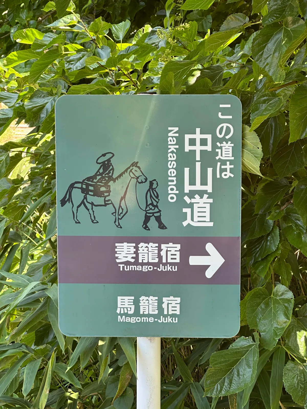 Japan: Nakasendo Trail between Magome and Tsumago