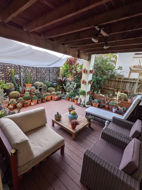 My patio and succulent garden