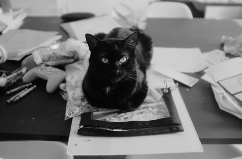 And to think someone tried to throw this guy away like trash. Happy Holidays from Hefty Fabuloso.