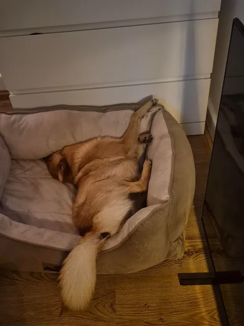 My bestest buddy Felix