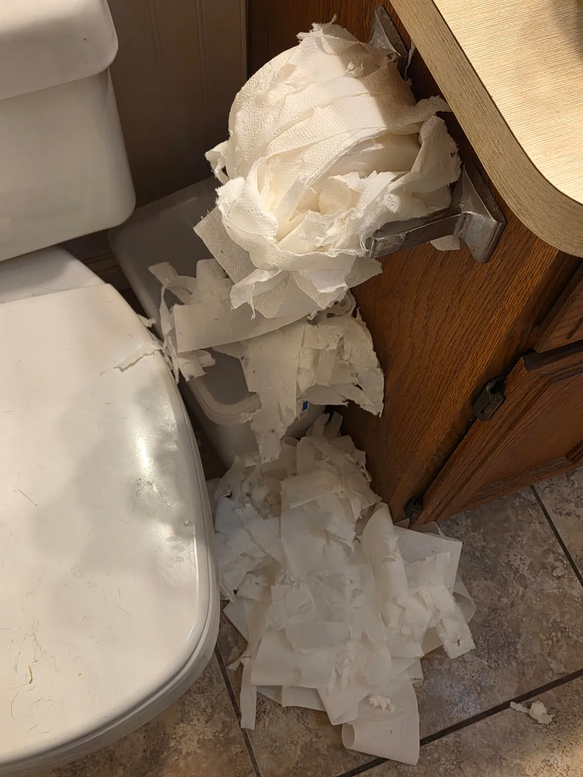 My office manager shredded the toilet paper so that less time is wasted on bathroombreaks.