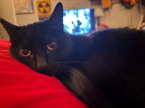 Over 10 years together. We’ve been through so much! 🖤🖤