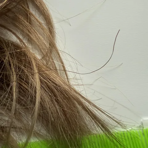 I have a single hair that is much thicker &amp; wirey than any other strand on my head