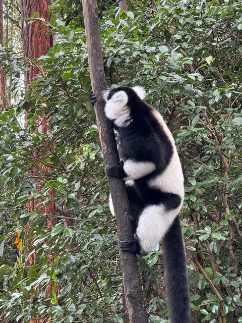 madagascar is goddamn epic