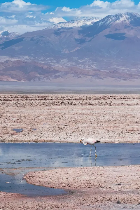 5 days in the Atacama desert - Chile