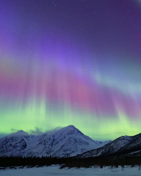 Blue northern lights in Denali National Park [OC] [1080x1350]