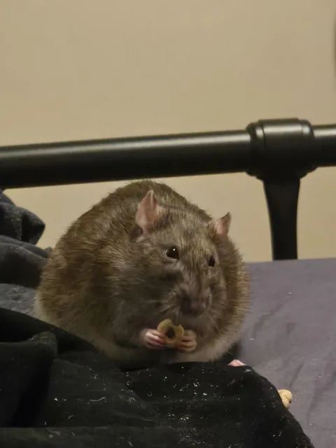 Her greed sickens me