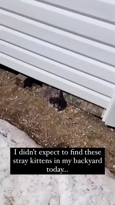 Sir... You have been chosen. -- Ironman_easton.backares_