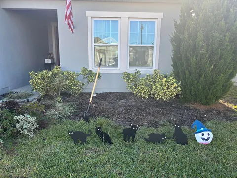 A whole day spent gardening. Before and after!