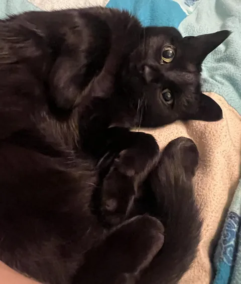 Well, guess I can’t go to work.