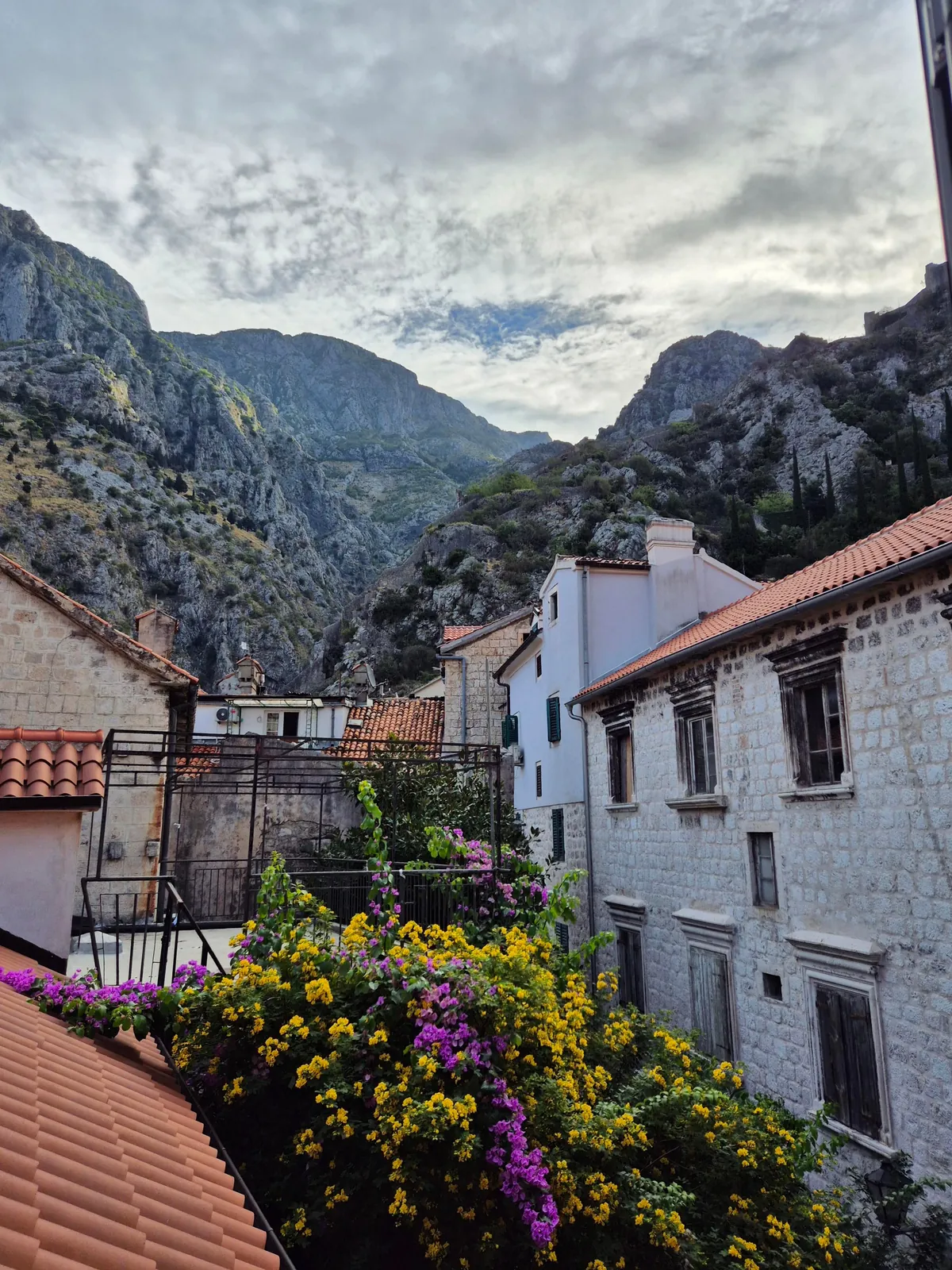 Trip Report: Serbia, Bosnia, and Montenegro