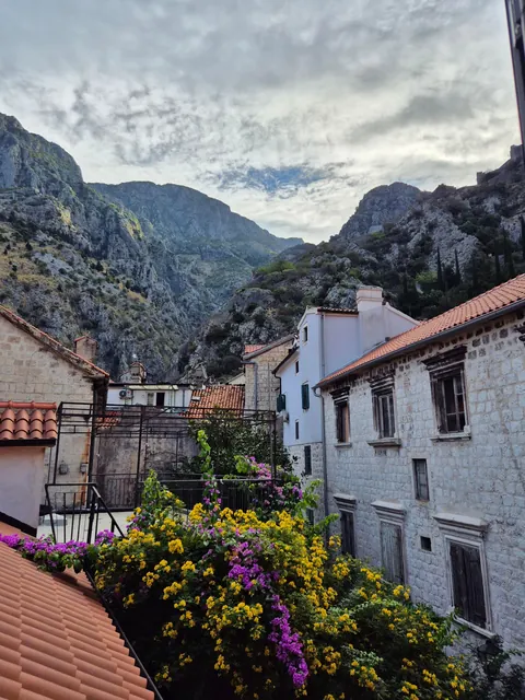 Trip Report: Serbia, Bosnia, and Montenegro