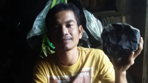 A meteorite punched a hole in his roof and was sold for a fortune