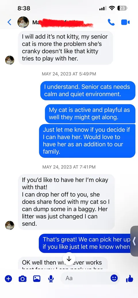 Update: I have the cat my student rehomed 3 years ago and thought had died.