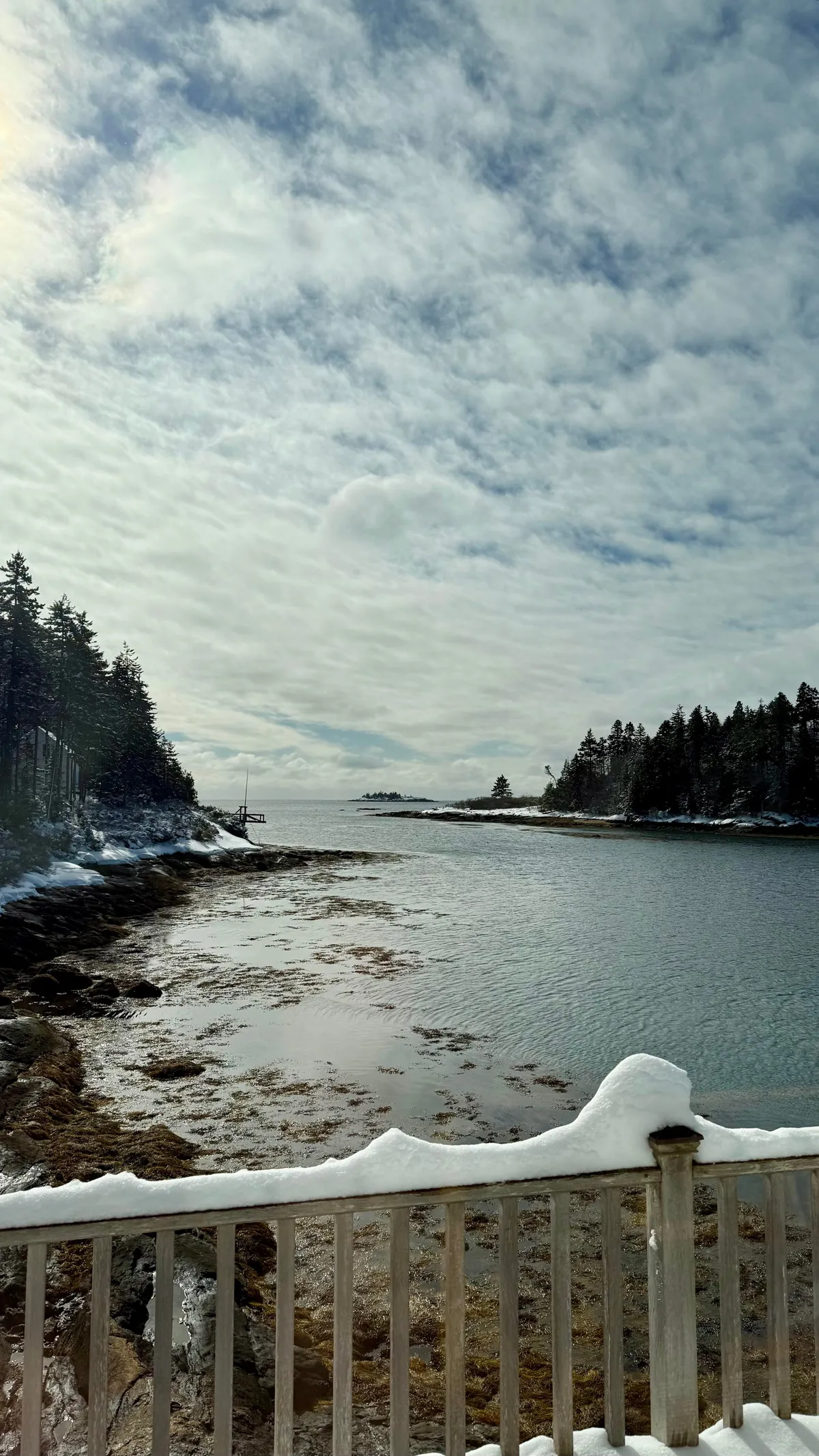Snowy Sunday morning in Maine ☃️🌲