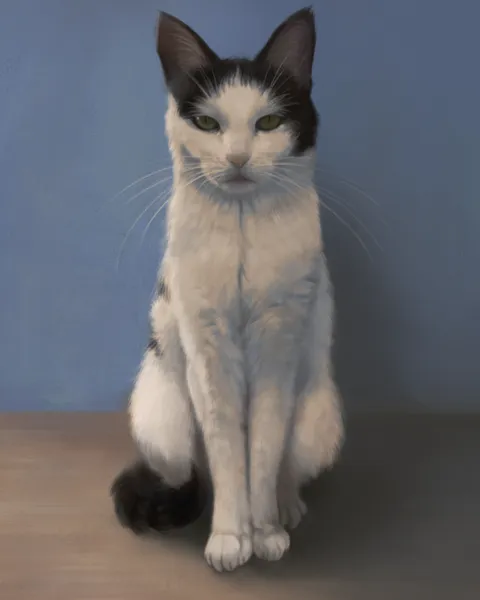 My Cat, oddboy707 (Me), digital, 2024