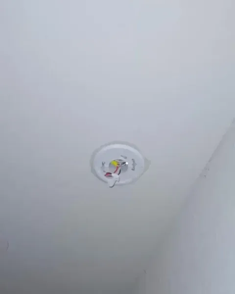 Fixed our washing machine pump today. Was super proud of myself.