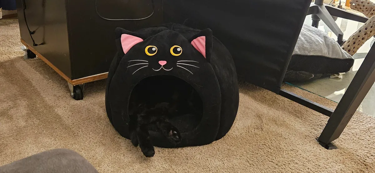 I rarely buy the gimmicky things, but...