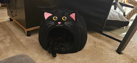 I rarely buy the gimmicky things, but...